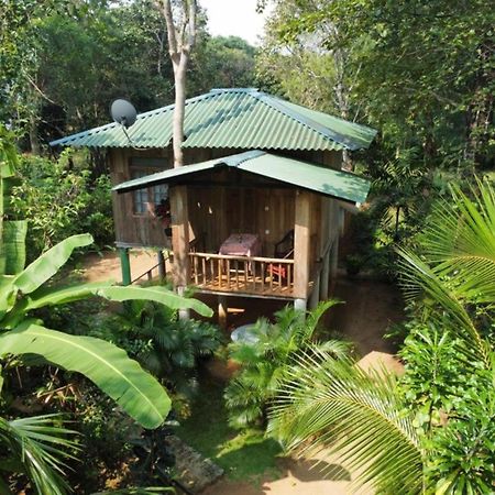 Ruk Sewana Villa Tree House シギリヤ エクステリア 写真