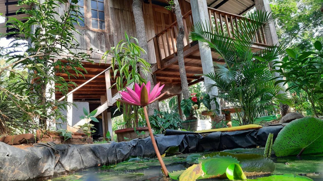 Ruk Sewana Villa Tree House シギリヤ エクステリア 写真