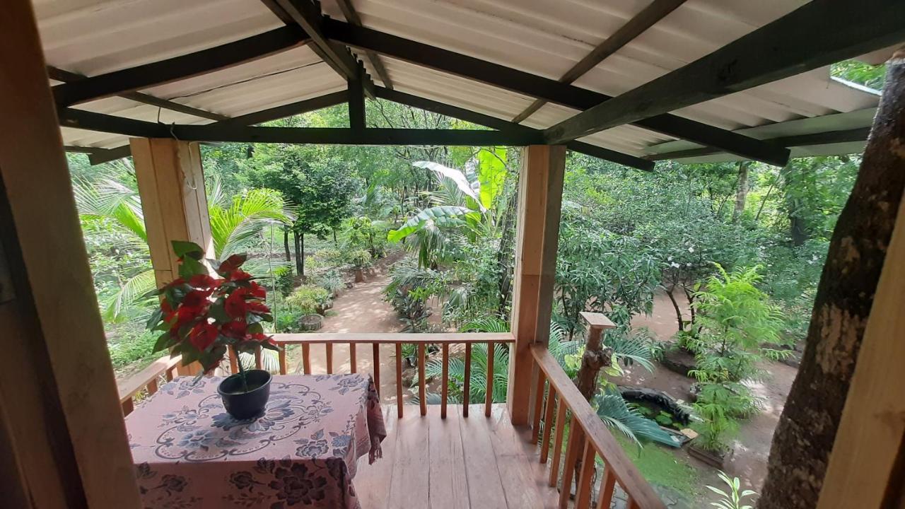 Ruk Sewana Villa Tree House シギリヤ エクステリア 写真