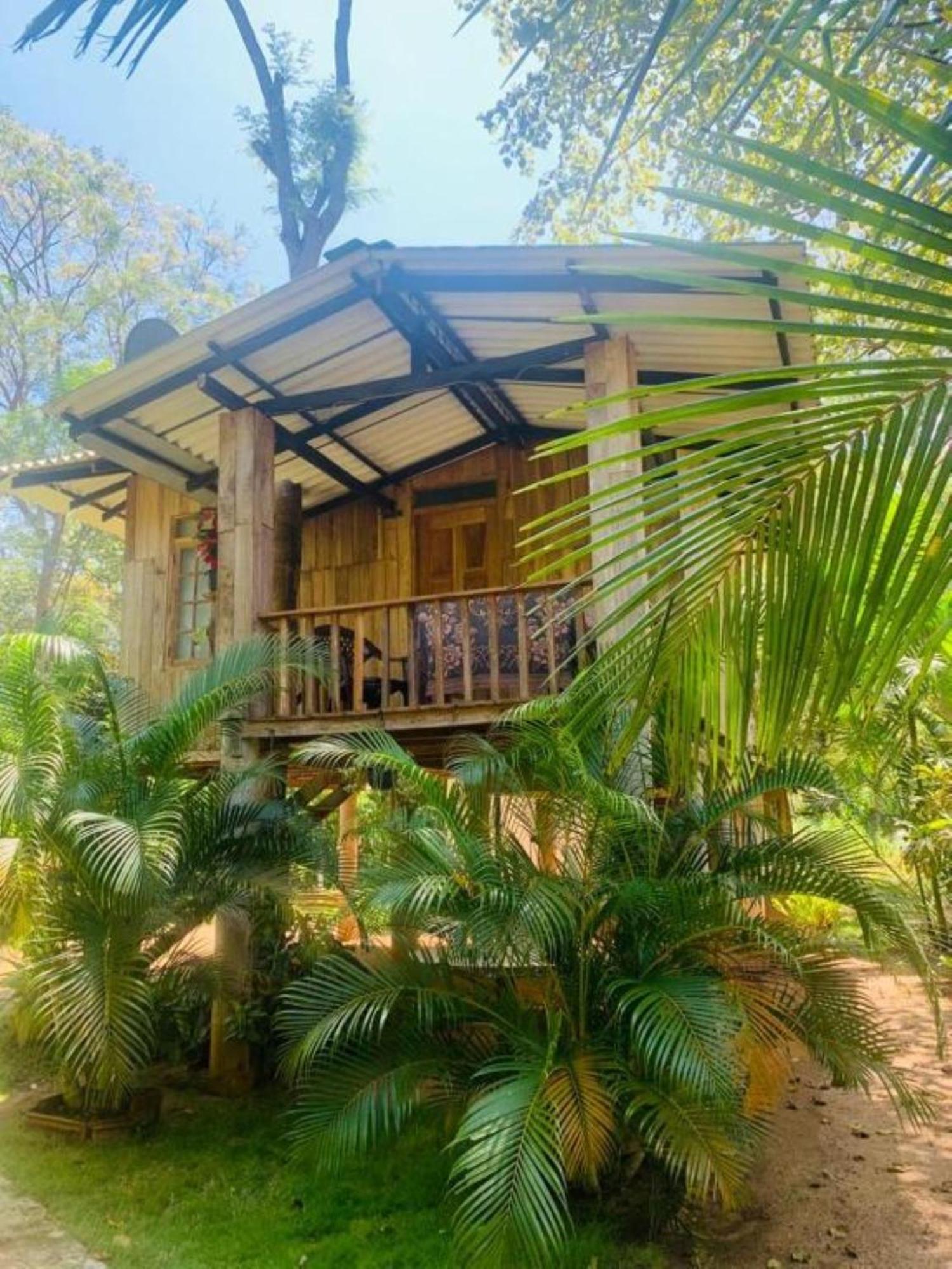 Ruk Sewana Villa Tree House シギリヤ エクステリア 写真